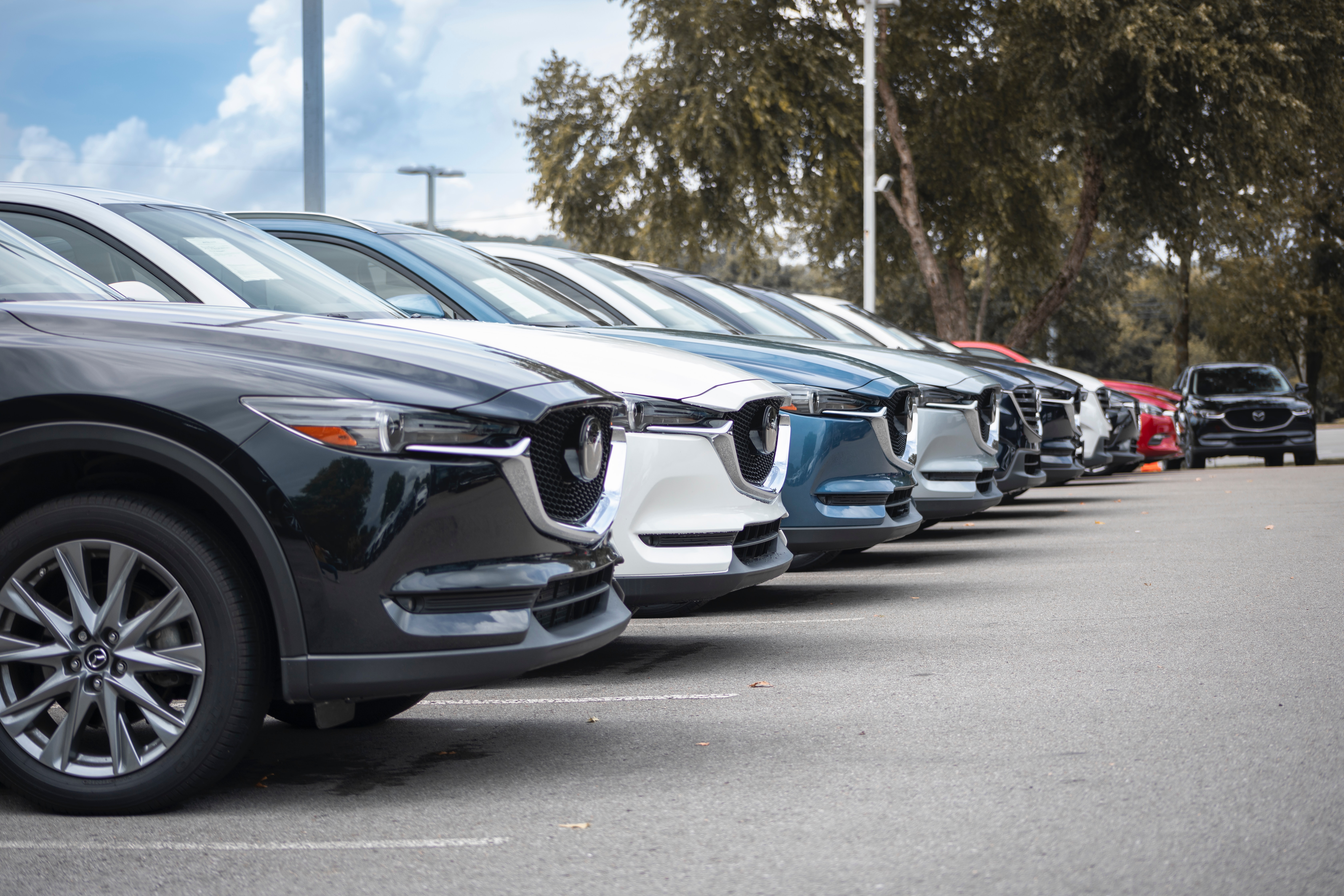 Dealership lot